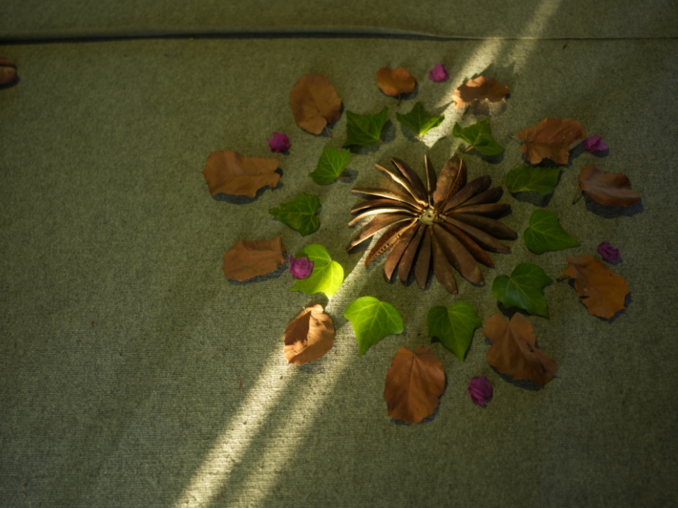 Untitled design (40)